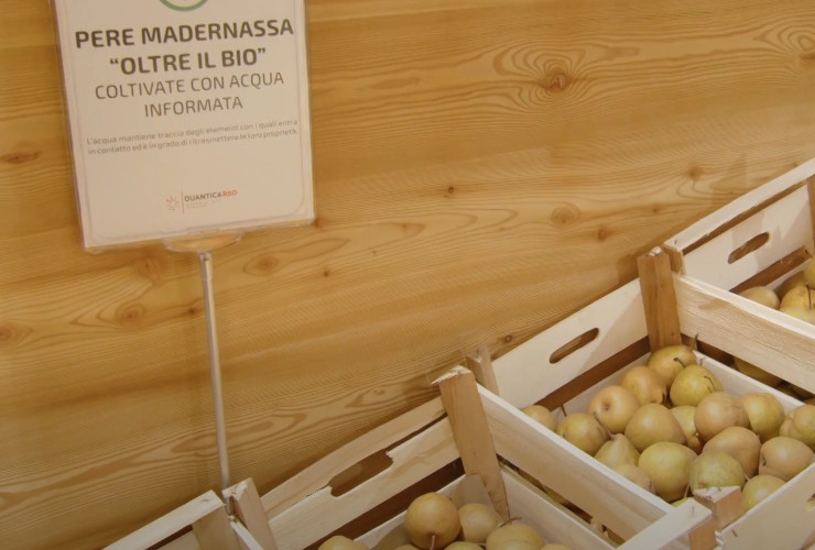 Le pere coltivate con 'acqua informata' in vendita in un ipermercato aostano