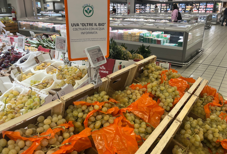 L'uva trattata con 'acqua informata' in vendita nel supermercato aostano