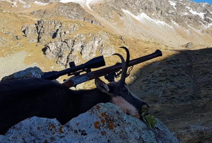 Un camoscio cacciato