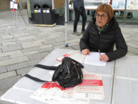 La consigliera regionale di Rete Civica, Chiara Minelli, durante la raccolta firme per il referendum