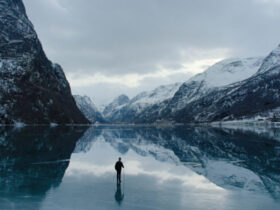 Un'immagine da 'Fedrelandet (Songs of Earth)' vincitore del Cervino CineMountain festival 