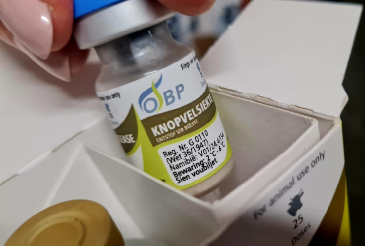 Un flacone di vaccino contro la dermatite nodulare contagiosa (Lsd)
