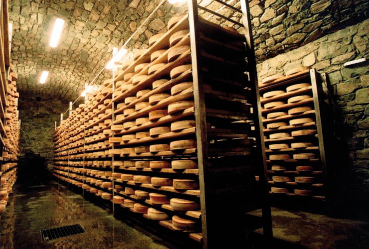 Forme di Fontina DOP in stagionatura