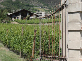 L'ingresso dell'azienda vitivinicola 'Di Barrò' a Saint-Pierre