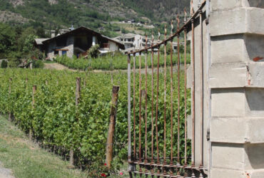L'ingresso dell'azienda vitivinicola 'Di Barrò' a Saint-Pierre