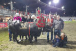 'Suisse' di Ymac Frassy e Christophe Letey, vincitrice in 1ª categoria