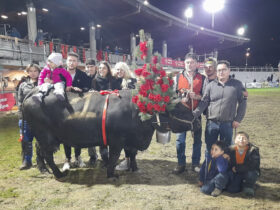 'Suisse' di Ymac Frassy e Christophe Letey, vincitrice in 1ª categoria