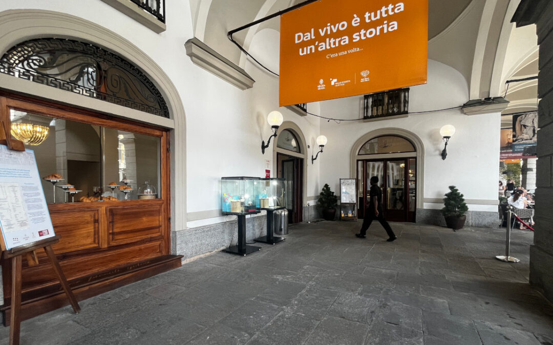 Il Caffè Nazionale si espande: concessi per 22 anni i locali ex Ivat sotto l’Hôtel de Ville