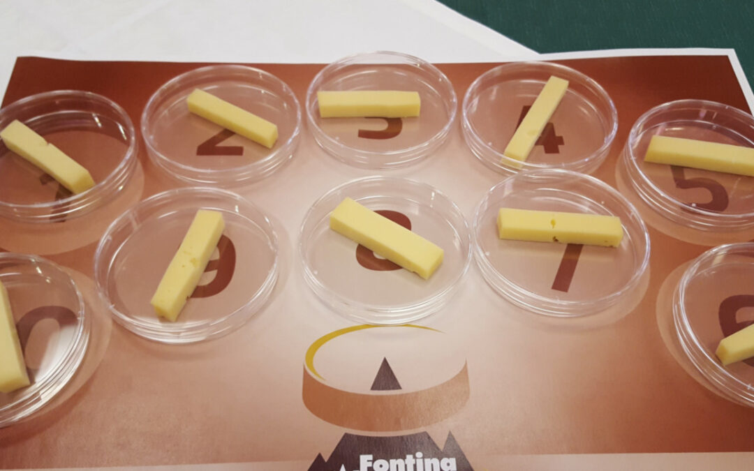 Modon d’Or 2025 verso il verdetto: in gara 38 produttori di Fontina d’alpeggio