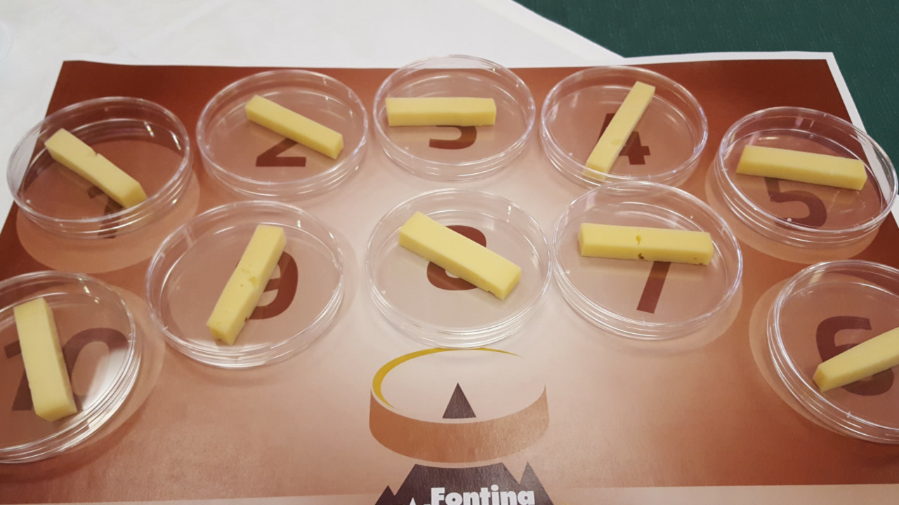 Fontine in degustazione al concorso Modon d'Or