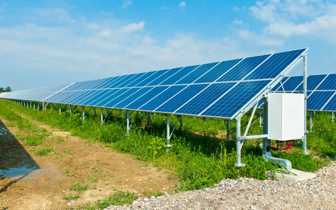 Critiche per il progetto di un impianto agrivoltaico di CVA a Rocca Grimalda, ad Alessandria