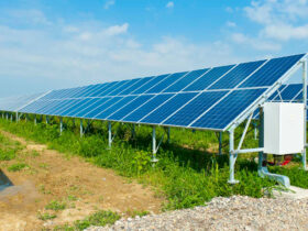 Uno scorcio dell'impianto fotovoltaico 'Alessandria sud' di CVA