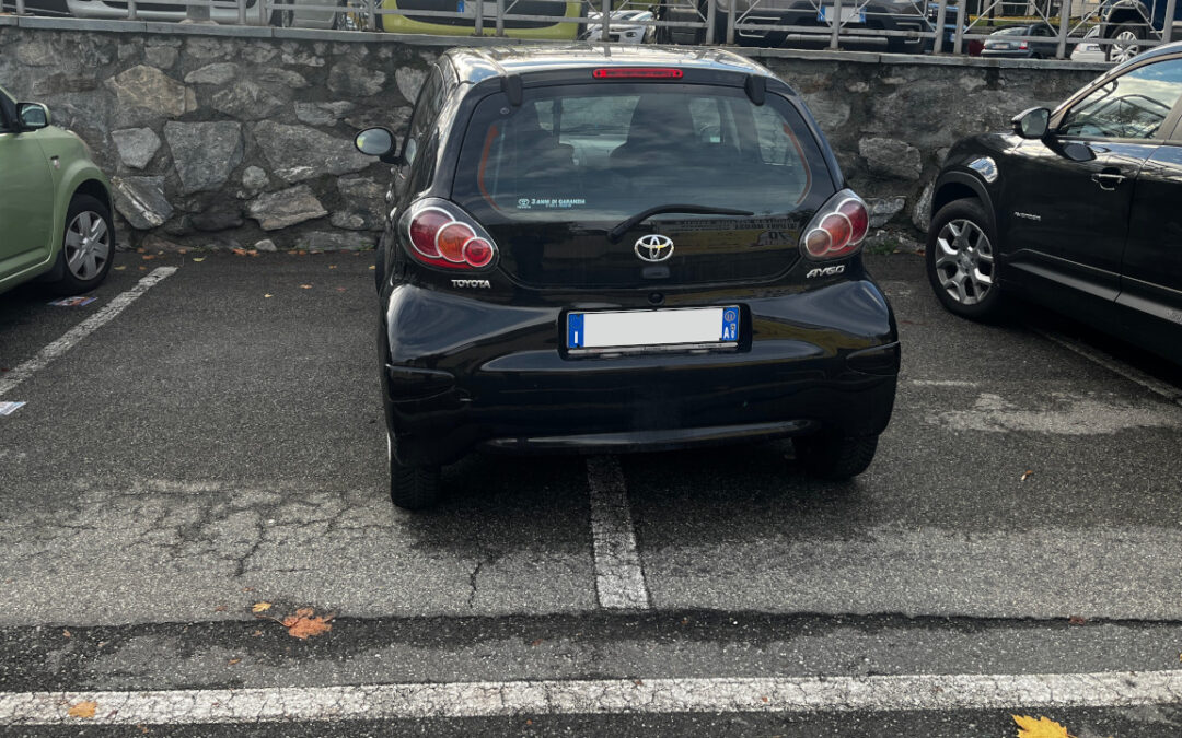 Bocciate del Consiglio comunale le tre mozioni sui parcheggi dopo la sentenza sulle strisce blu​