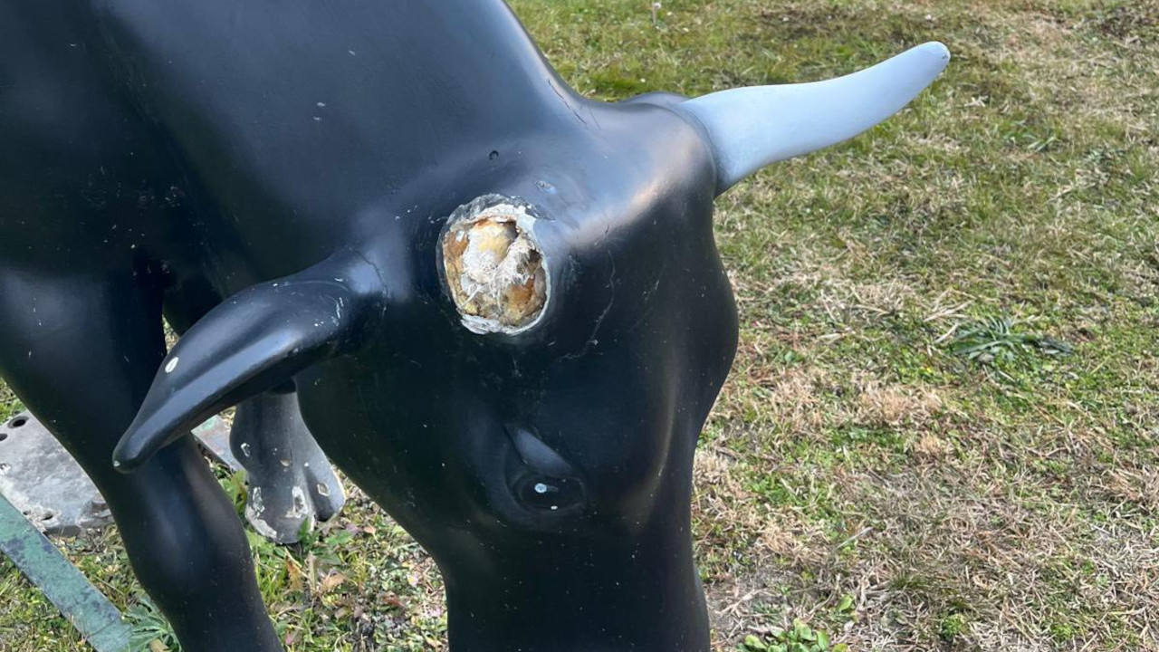 MONTJOVET, STACCANO UNA CORNA ALLA “MUCCA” SULLA ROTONDA: I RAGAZZI TORNANO CON IL PEZZO E SI SCUSANO 1 La statua della mucca sulla rotonda nella ss26, a Montjovet, danneggiata dai vandali