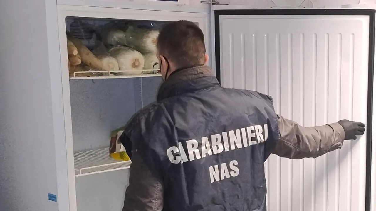 Un carabiniere del Nas durante un controllo