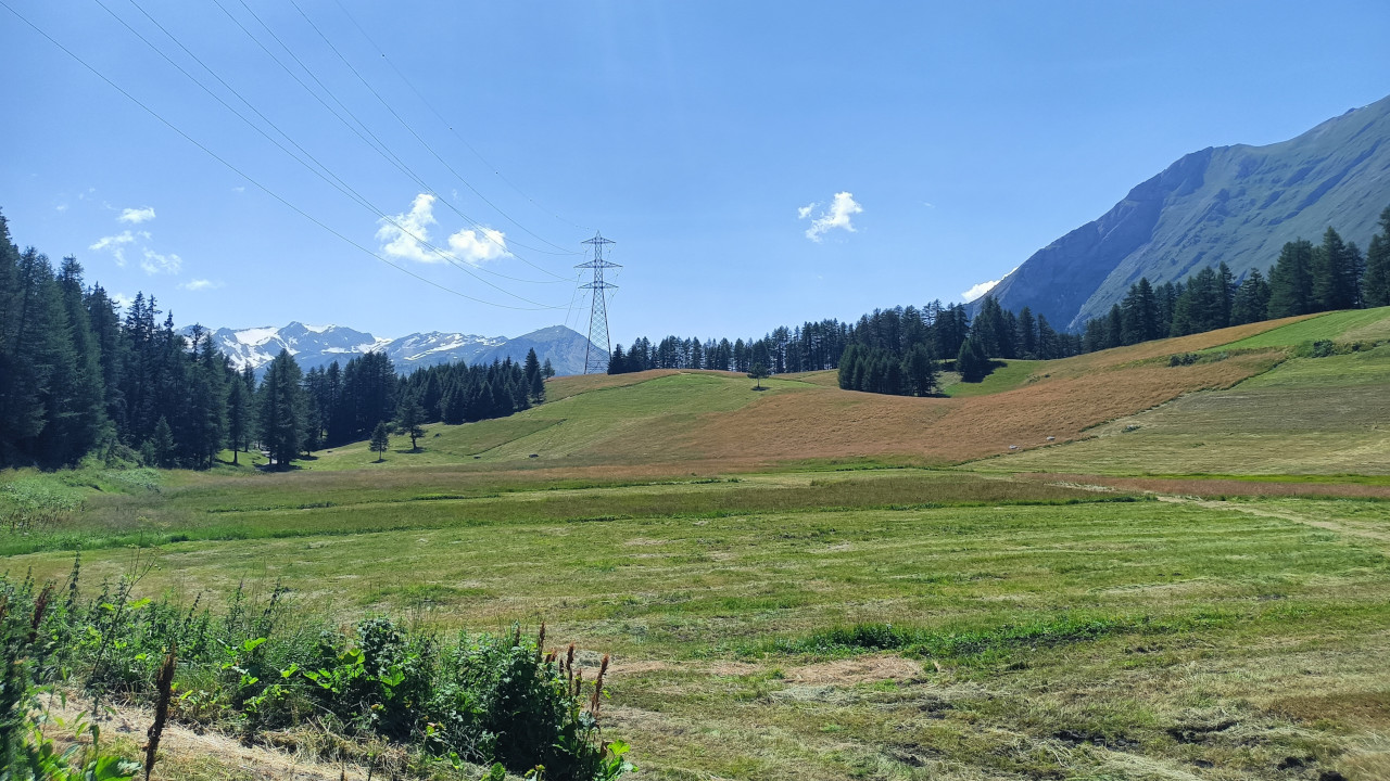 20260401_la_thuile_prati Prati agricoli a La Thuile