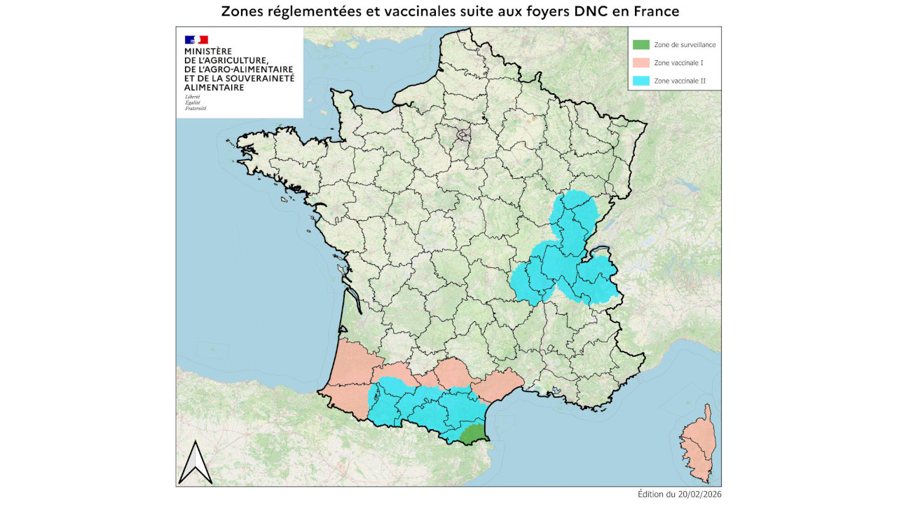 DERMATITE NODULARE, NUOVO PIANO VACCINALE OBBLIGATORIO PER I BOVINI 2 La situazione della LSD in Francia nel mese di febbraio 2026