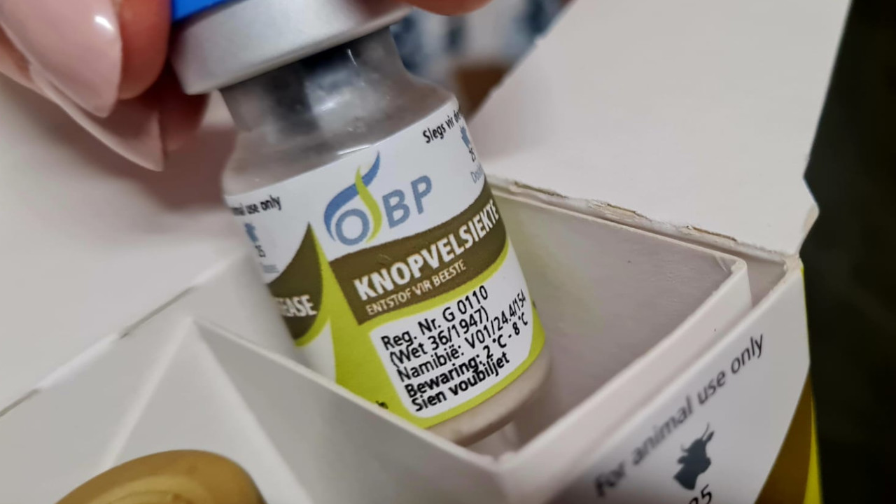 DERMATITE NODULARE, NUOVO PIANO VACCINALE OBBLIGATORIO PER I BOVINI 1 Il vaccino 'OPB Neethling' contro la dermatite nodulare bovina