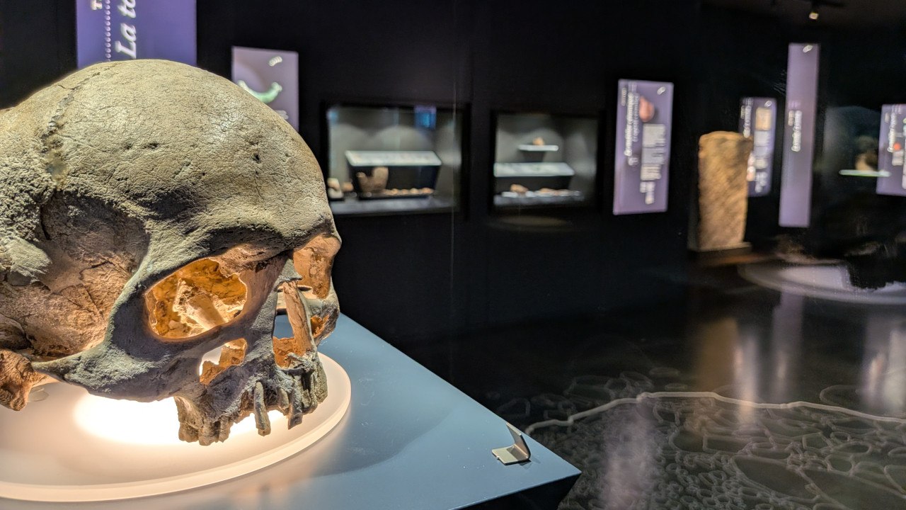 Il cranio dell'uomo dell’età del Rame ritrovato nel Dolmen II dell'Area megalitica di Aosta