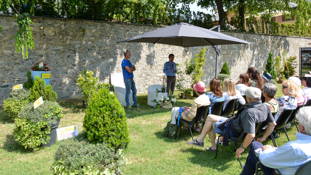 Le conferenze