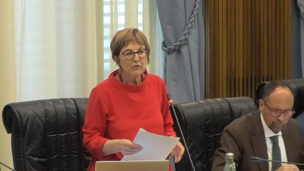GALLERIE DI SORRELEY, IL CONSIGLIO CHIEDE LO STOP DEI LAVORI. AVS: SCELTA IRRESPONSABILE 4 Chiara Minelli, capogruppo di AVS - Rete Civica VdA in Consiglio Valle