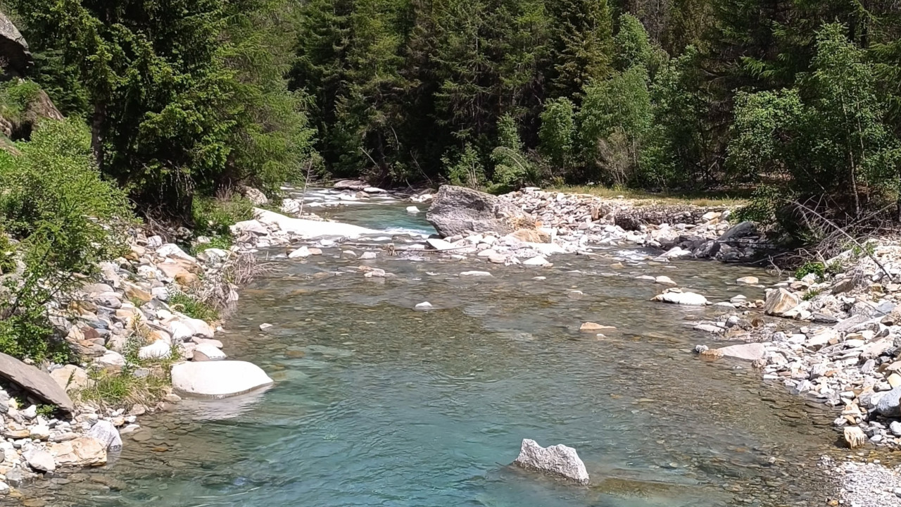 Il torrente della Valeille, a Cogne